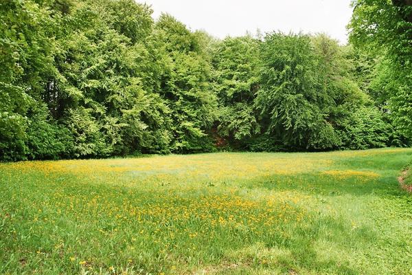 Land- und Forstwirtschaft