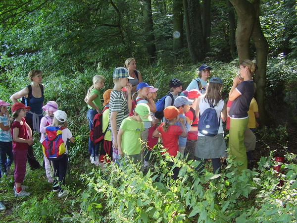 Kinder im Wald