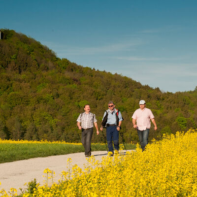 Bild vergr&ouml;&szlig;ern: Wandern bei Schloß Greifenstein