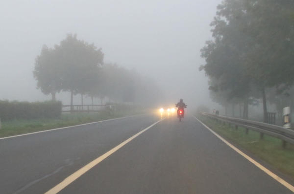 Bild vergr&ouml;&szlig;ern: Nebel