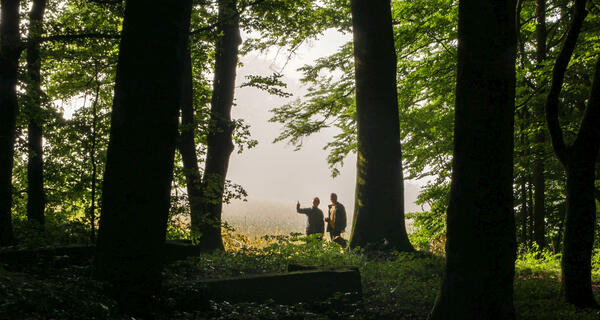 Bild vergr&ouml;&szlig;ern: Klosterlandschaft Ebrach