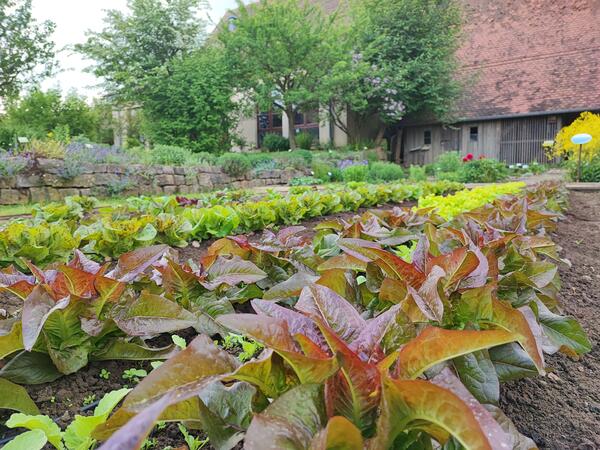 Bild vergr&ouml;&szlig;ern: Garten Bauernmuseum