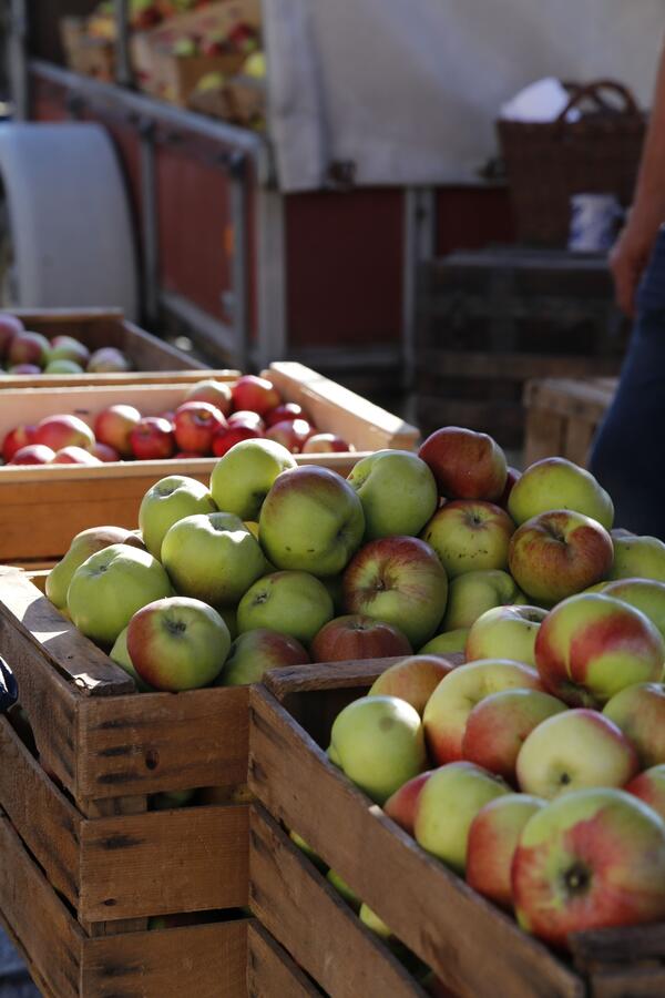 Mit dem PNV zum Apfelmarkt
