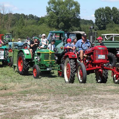 Bild vergr&ouml;&szlig;ern: Standmotoren - Traktoren - Oldtimer