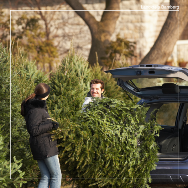 Zwei Menschen laden einen Tannenbaum in ein Auto