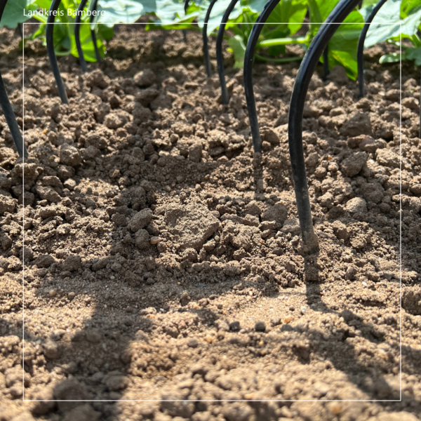 Bild vergr&ouml;&szlig;ern: Landwirtschaftliche Böden zukunftssicher bewirtschaften