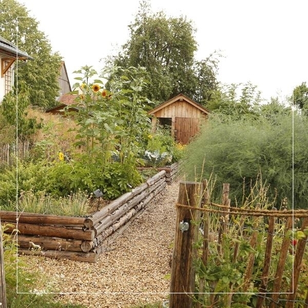Bild vergr&ouml;&szlig;ern: Naturgarten