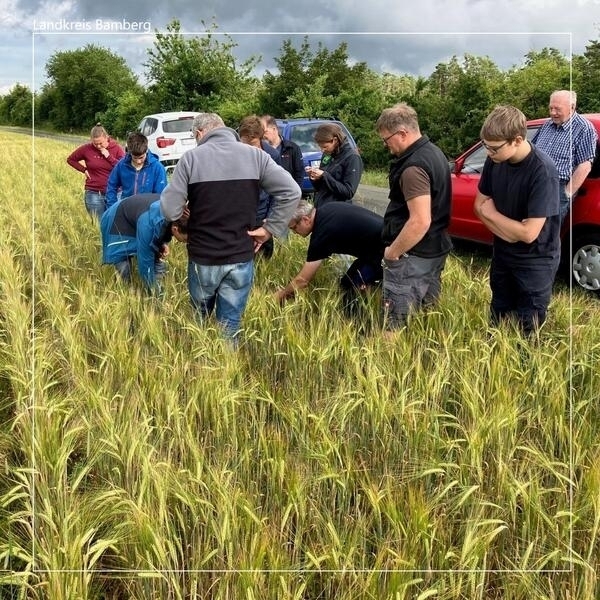 Bild vergr&ouml;&szlig;ern: ÖMR: Anbaugruppe Bio-Kümmel