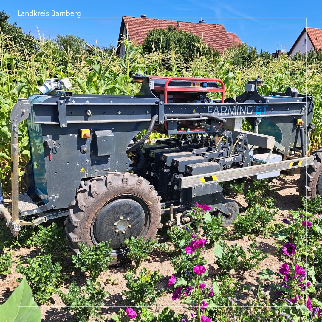 Bild vergr&ouml;&szlig;ern: Autonome Hackroboter