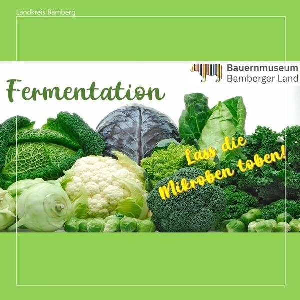 Bild vergr&ouml;&szlig;ern: Kursreihe »Fermentation«