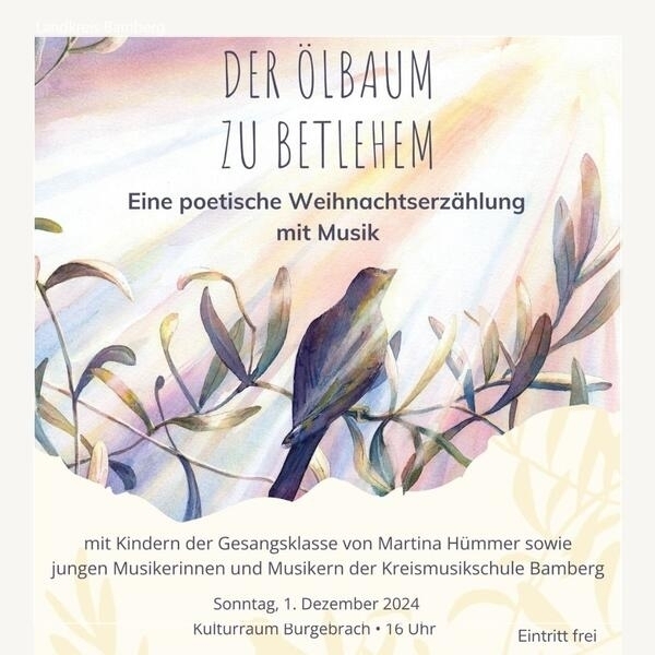 Bild vergr&ouml;&szlig;ern: Weihnachtserzählung der Kreismusikschule Bamberg