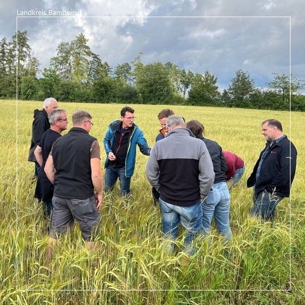 Bild vergr&ouml;&szlig;ern: Bamberger Land ist unter den Finalisten des EU Organic Award 2025