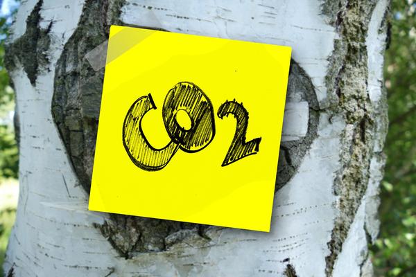 Bild vergr&ouml;&szlig;ern: Co2