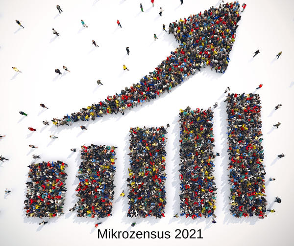 Bild vergr&ouml;&szlig;ern: Mikrozensus 2021