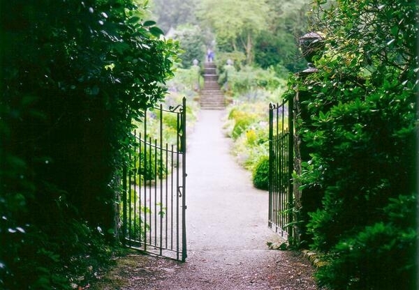 Bild vergr&ouml;&szlig;ern: Garten-Tor