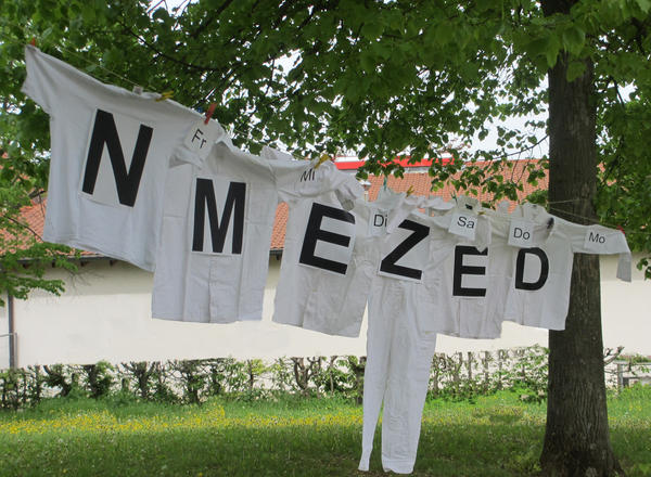 Bild vergr&ouml;&szlig;ern: Titelbild "Wegweiser Demenz"