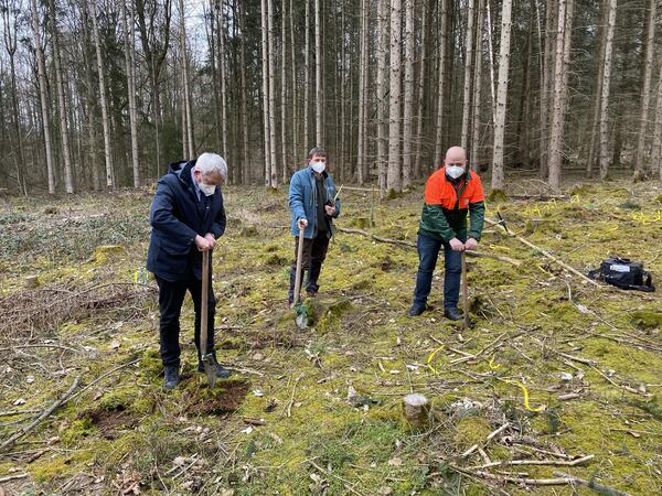 Bild vergr&ouml;&szlig;ern: Pflanzung Geburtsbäume