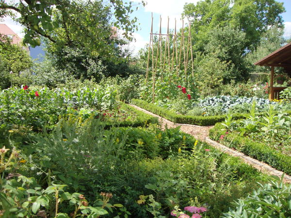 Bild vergr&ouml;&szlig;ern: Gartenweg