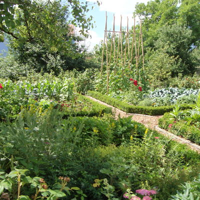 Bild vergr&ouml;&szlig;ern: Gartenweg