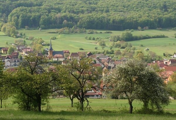 Bild vergr&ouml;&szlig;ern: Streuobstwiese mit Blick auf Lohndorf 2023
