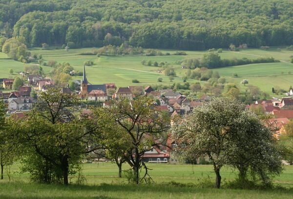 Blick auf eine blhende Streuobstwiese bei Lohndorf im Landkreis Bamberg