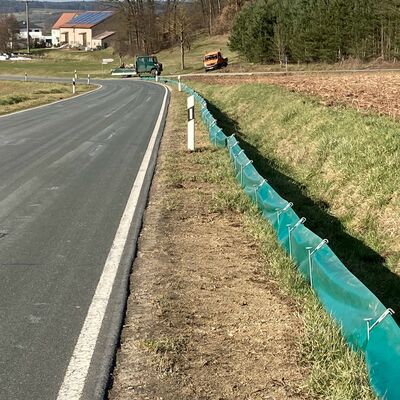 Bild vergr&ouml;&szlig;ern: Amphibienwanderung  2023