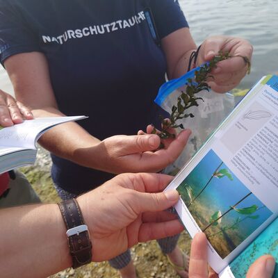 Bild vergr&ouml;&szlig;ern: FPF_Naturschutztauchen Breitengüßbach