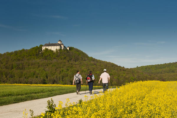 Bild vergr&ouml;&szlig;ern: Ferienzeit ist Wanderzeit im Bamberger Land