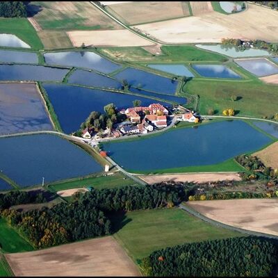 Bild vergr&ouml;&szlig;ern: Karpfenland Aischgrund - Teichlandschaft