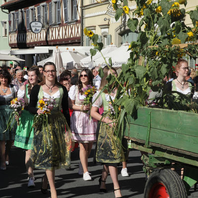 Bild vergr&ouml;&szlig;ern: Kreiserntedankfest_Genusstag_2019_Scheßlitz