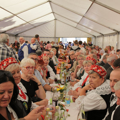 Bild vergr&ouml;&szlig;ern: Kreiserntedankfest_Genusstag_2019_Scheßlitz
