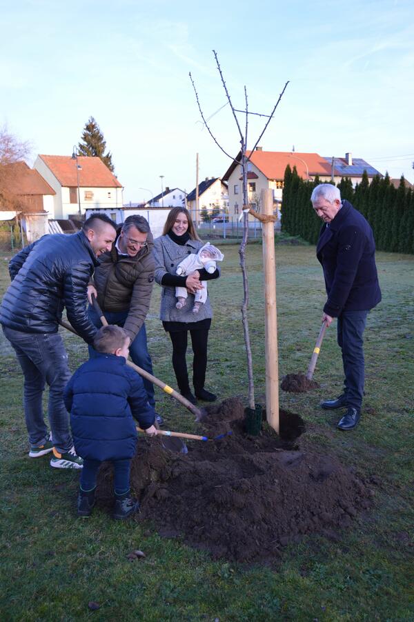 Bild vergr&ouml;&szlig;ern: Neugeborenenbaum