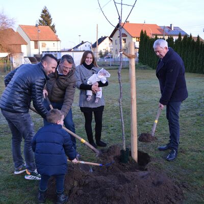 John Ulrich und Lisa Mäislein pflanzten mit Landrat Johann Kalb und Bürgermeister Jochen Hack den ersten Neugeborenen-Baum des Landkreises Bamberg für Tochter Jana.