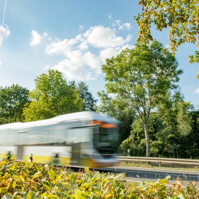 Bild vergr&ouml;&szlig;ern: Landkreisbus gelb