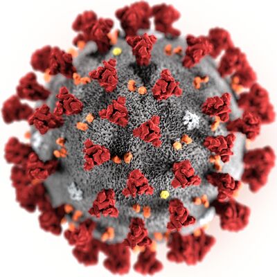 Bild vergr&ouml;&szlig;ern: Corona-Virus