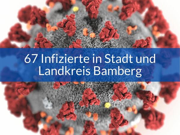 Bild vergr&ouml;&szlig;ern: Corona-Pandemie_Infizierte