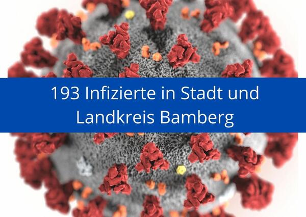 Bild vergr&ouml;&szlig;ern: 193 Infizierte mit dem Covid-19