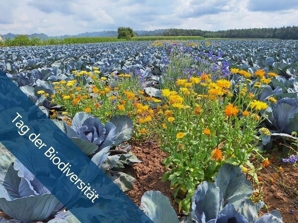 Bild vergr&ouml;&szlig;ern: Tag der Biodiversität am 22. Mai