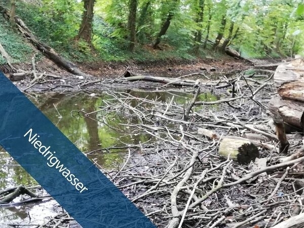 Bild vergr&ouml;&szlig;ern: Niedrigwasser