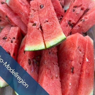 Bio-Melonenmomente im Bamberger Land