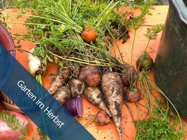 Bild vergr&ouml;&szlig;ern: Gartenführung