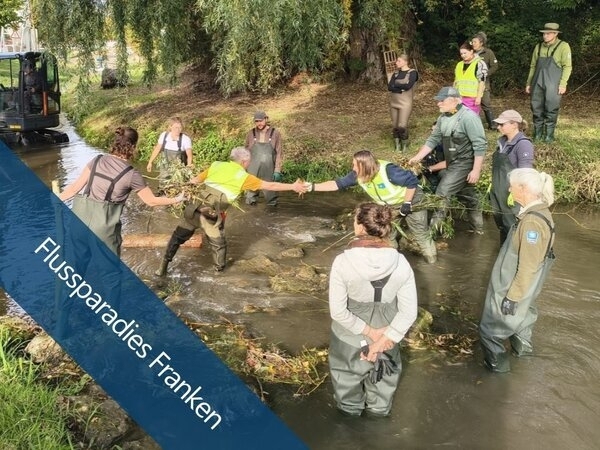 Bild vergr&ouml;&szlig;ern: Bayernweit bessere Bäche. Ein Bach darf wieder Bach sein