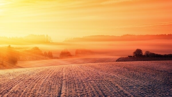 Bild vergr&ouml;&szlig;ern: 3177_12_1_r